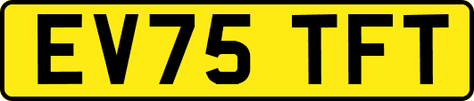 EV75TFT