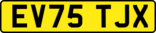 EV75TJX