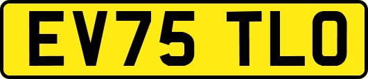EV75TLO