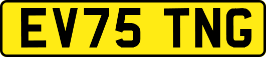 EV75TNG