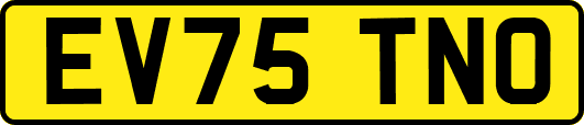 EV75TNO