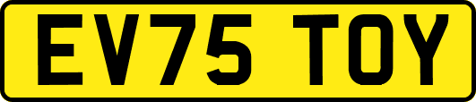 EV75TOY