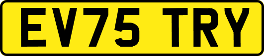 EV75TRY