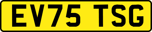 EV75TSG