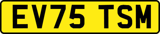EV75TSM