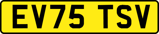 EV75TSV