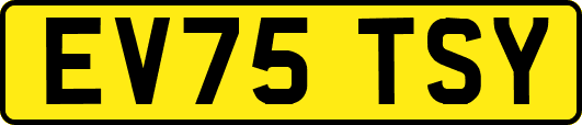 EV75TSY