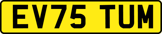 EV75TUM