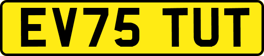 EV75TUT