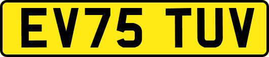 EV75TUV