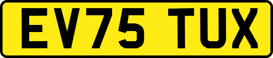EV75TUX