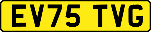 EV75TVG