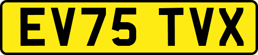 EV75TVX