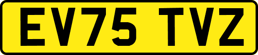 EV75TVZ