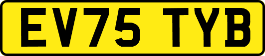 EV75TYB