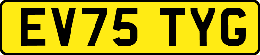 EV75TYG