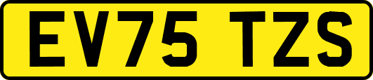 EV75TZS