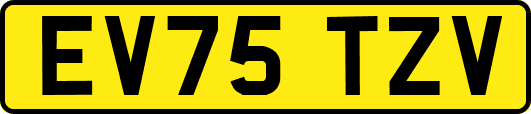 EV75TZV