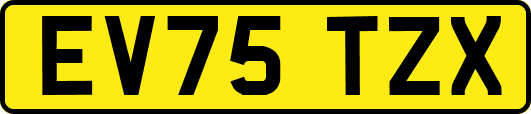 EV75TZX