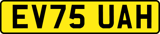 EV75UAH