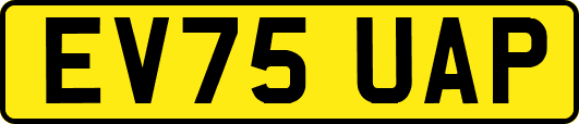 EV75UAP
