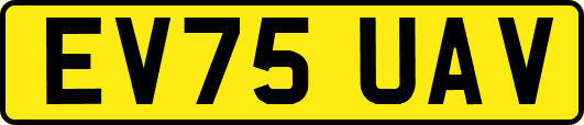 EV75UAV