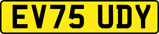 EV75UDY