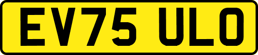 EV75ULO