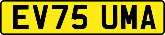 EV75UMA