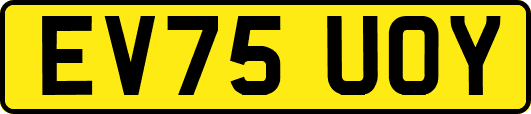 EV75UOY