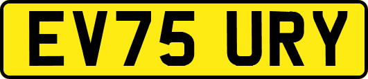 EV75URY