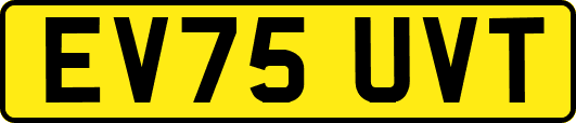 EV75UVT