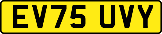 EV75UVY