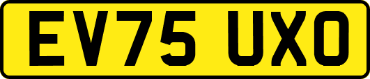 EV75UXO