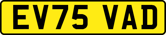 EV75VAD