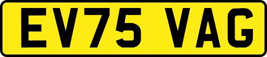 EV75VAG