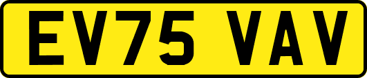EV75VAV