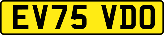 EV75VDO
