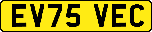 EV75VEC