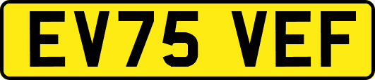 EV75VEF