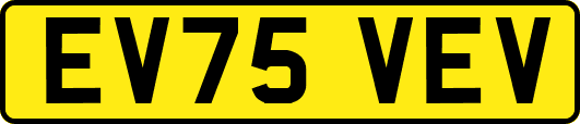 EV75VEV