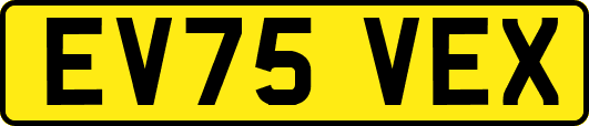 EV75VEX