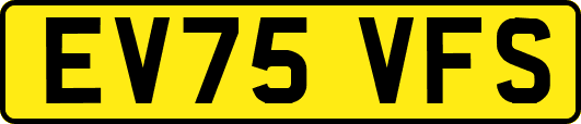 EV75VFS