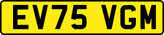 EV75VGM