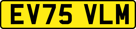 EV75VLM