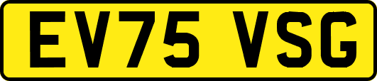 EV75VSG