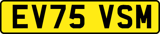 EV75VSM