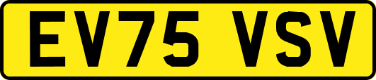 EV75VSV
