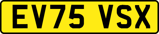 EV75VSX