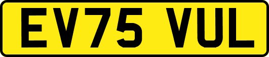 EV75VUL